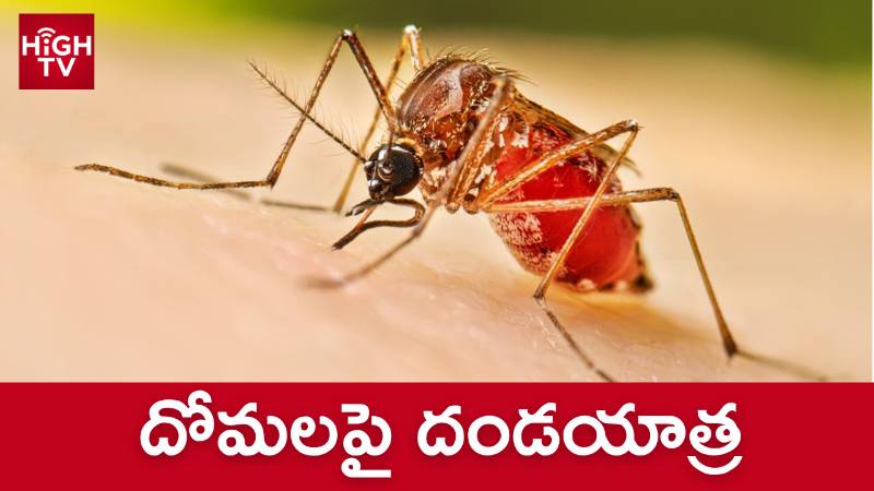డెంగ్యూపై అప్రమత్తత అవసరం